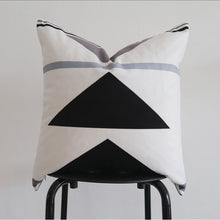 Load image into Gallery viewer, ARGO, 18x18” - Pillow Cover
